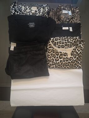 Chico’s Size 2 Bundle Lot 6 Pieces Tops & Pants Leopard Black Metallic Mix